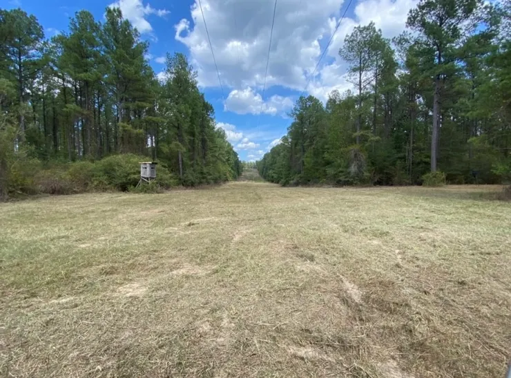 Images Prodigy Land Management