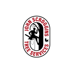 Circular Image