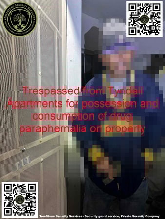 Images TreeStone Security Services