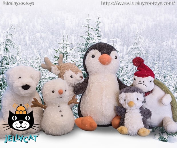 Images BrainyZoo Toys