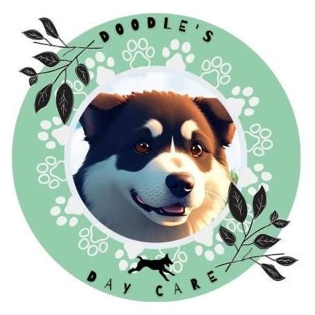 Doodle's Dog Day Care - Hull, North Yorkshire - 07535 787621 | ShowMeLocal.com