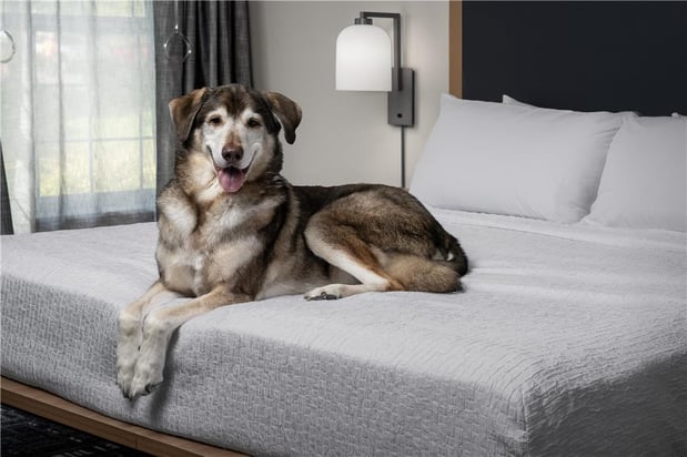 Images Homewood Suites by Hilton Vancouver-Portland