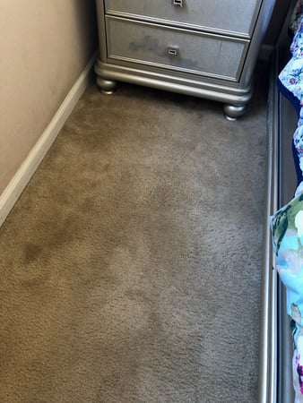 Images Carpet Pro Carpet Cleaning & Dyeing