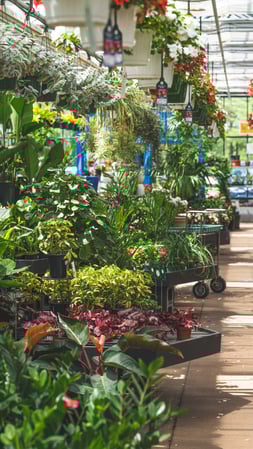 Images Mahoney's Garden Center