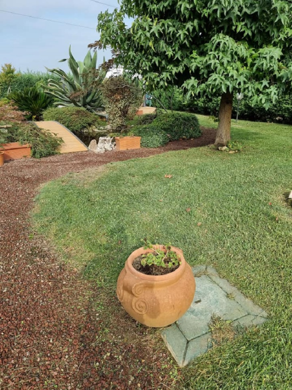 Images Bosi Tonino "Il Giardiniere"