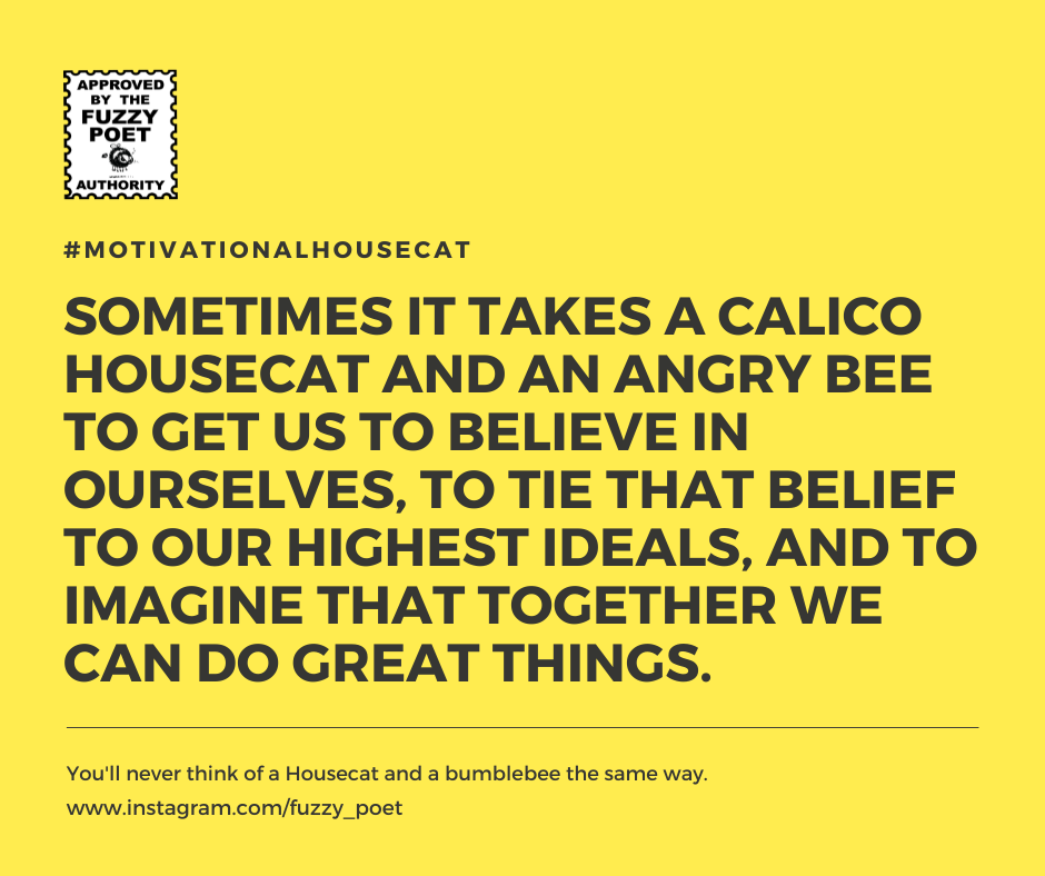 Check out the Housecat and Our Bee every M, W and Friday morning to get your dose of twisted humor and maybe an uplifting message.