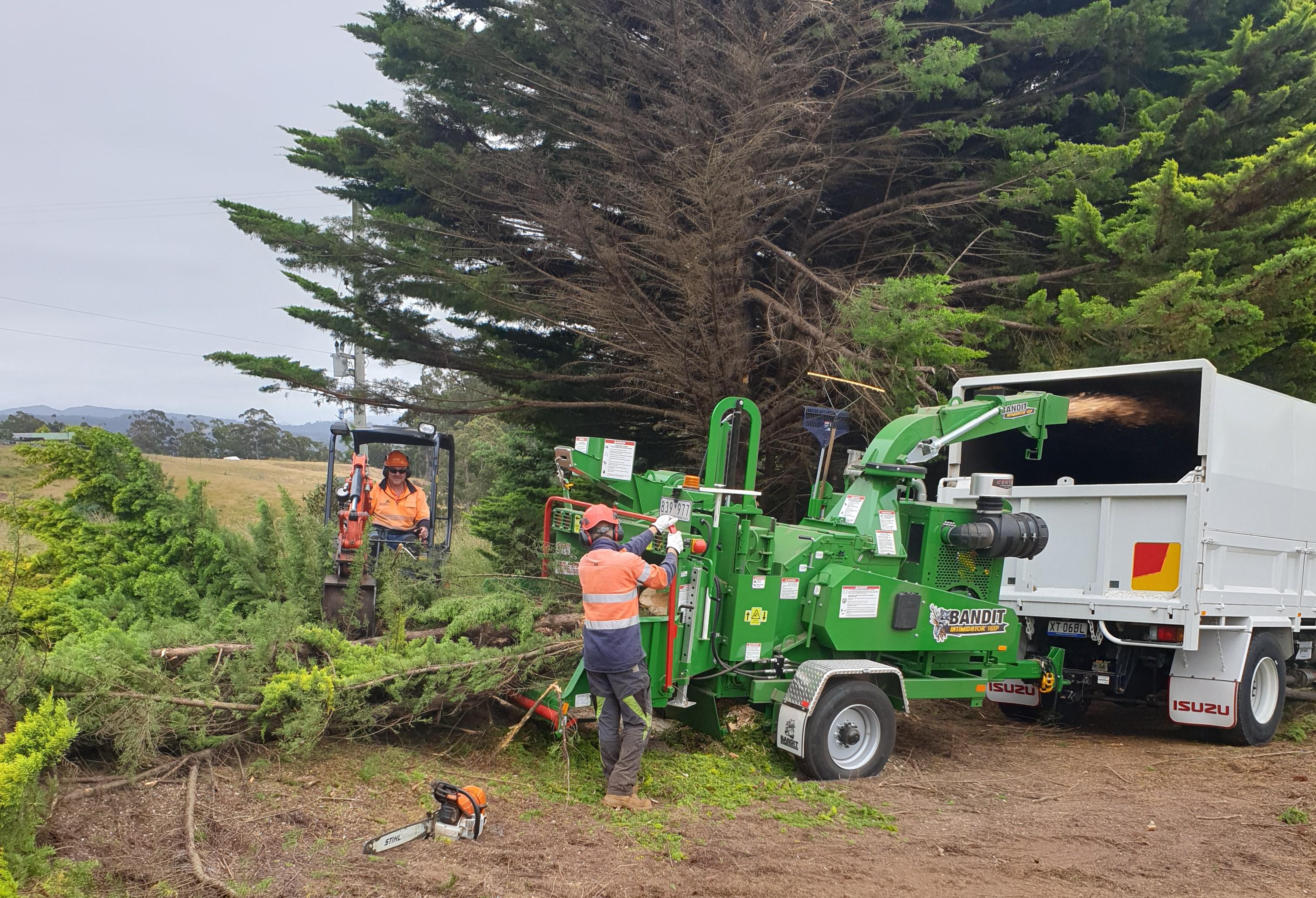Images A1 Tree Specialists