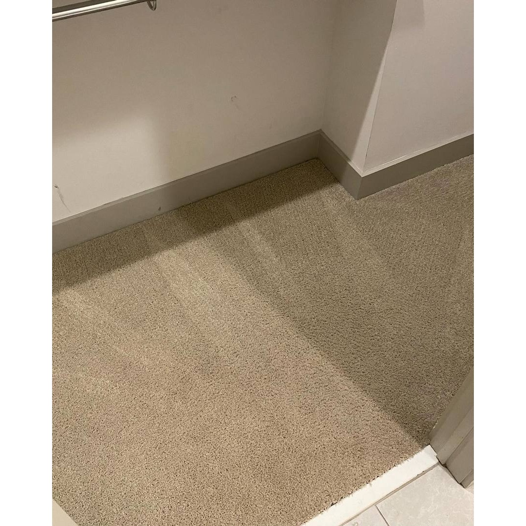 carpet cleaning service in Virginia Beach, VA