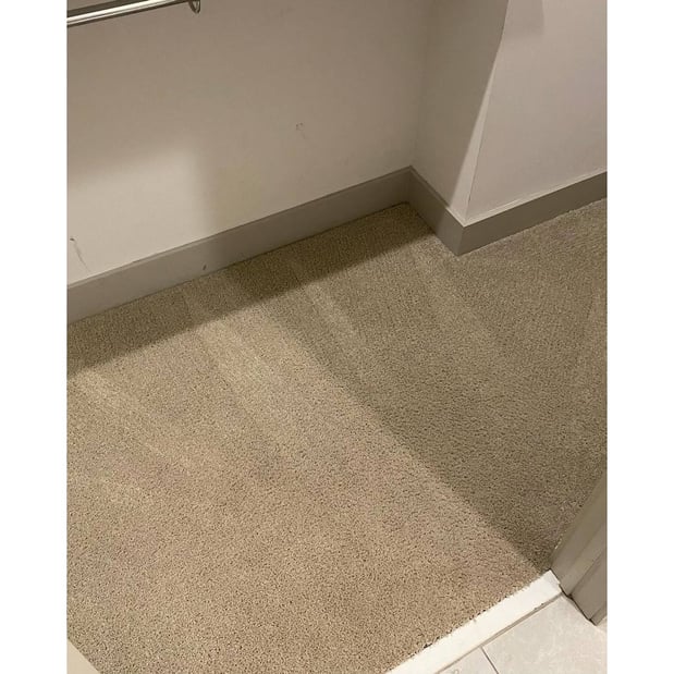 Images Beach Carpet Care