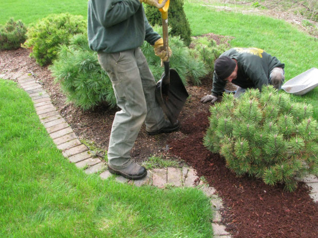 Images Glades Landscaping & Lawn Mowing