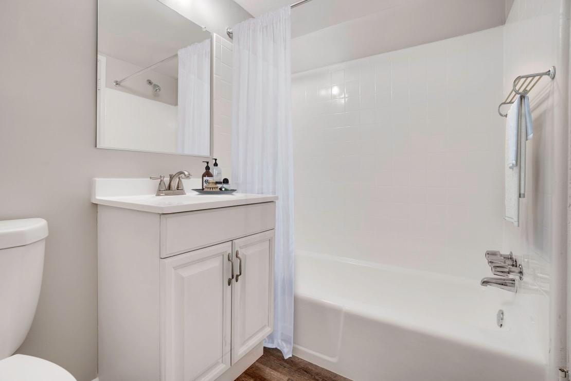 Modern Bathroom with Bathtub