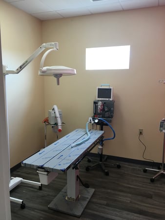Images Windrose Animal Hospital & Urgent Care