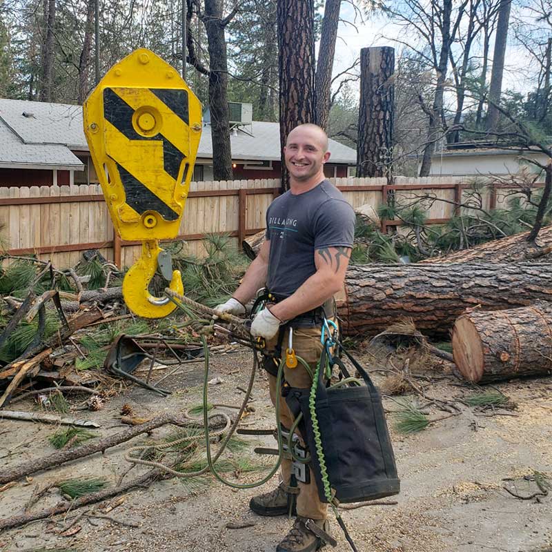 All Aspect Tree Service