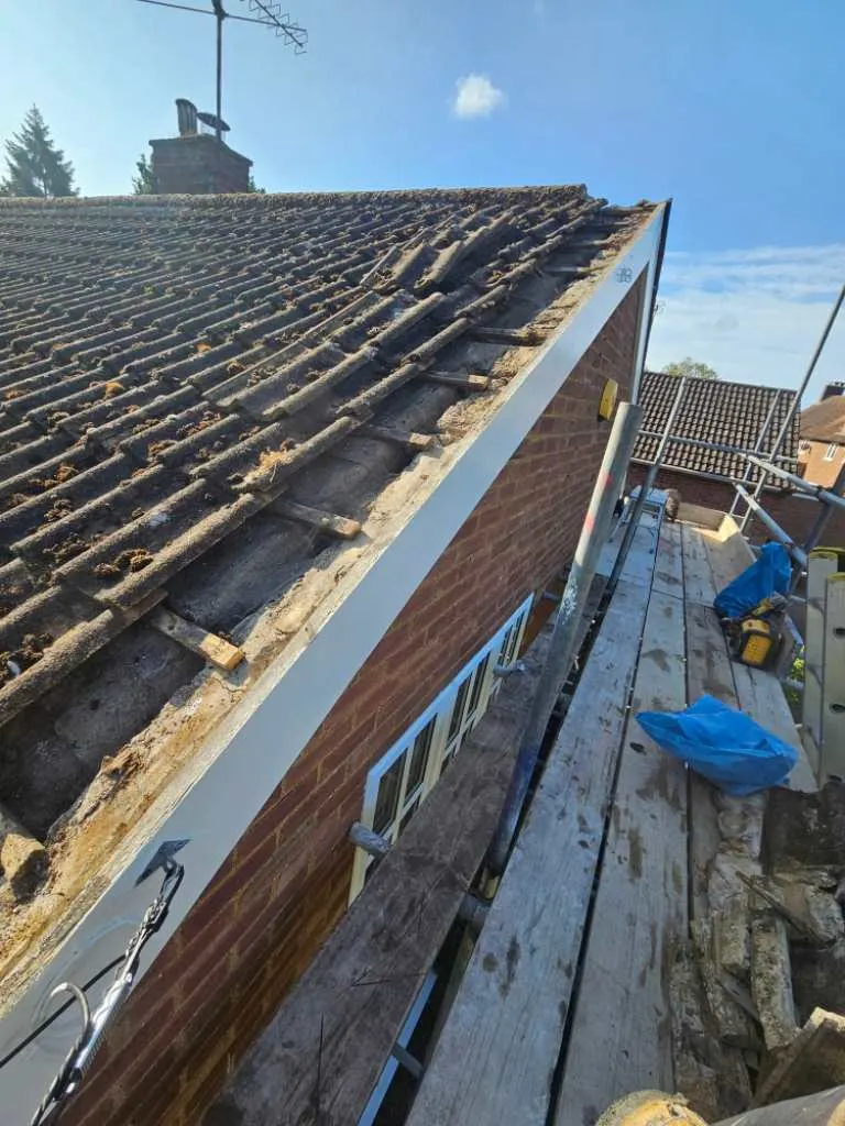 Images RMF Roofing