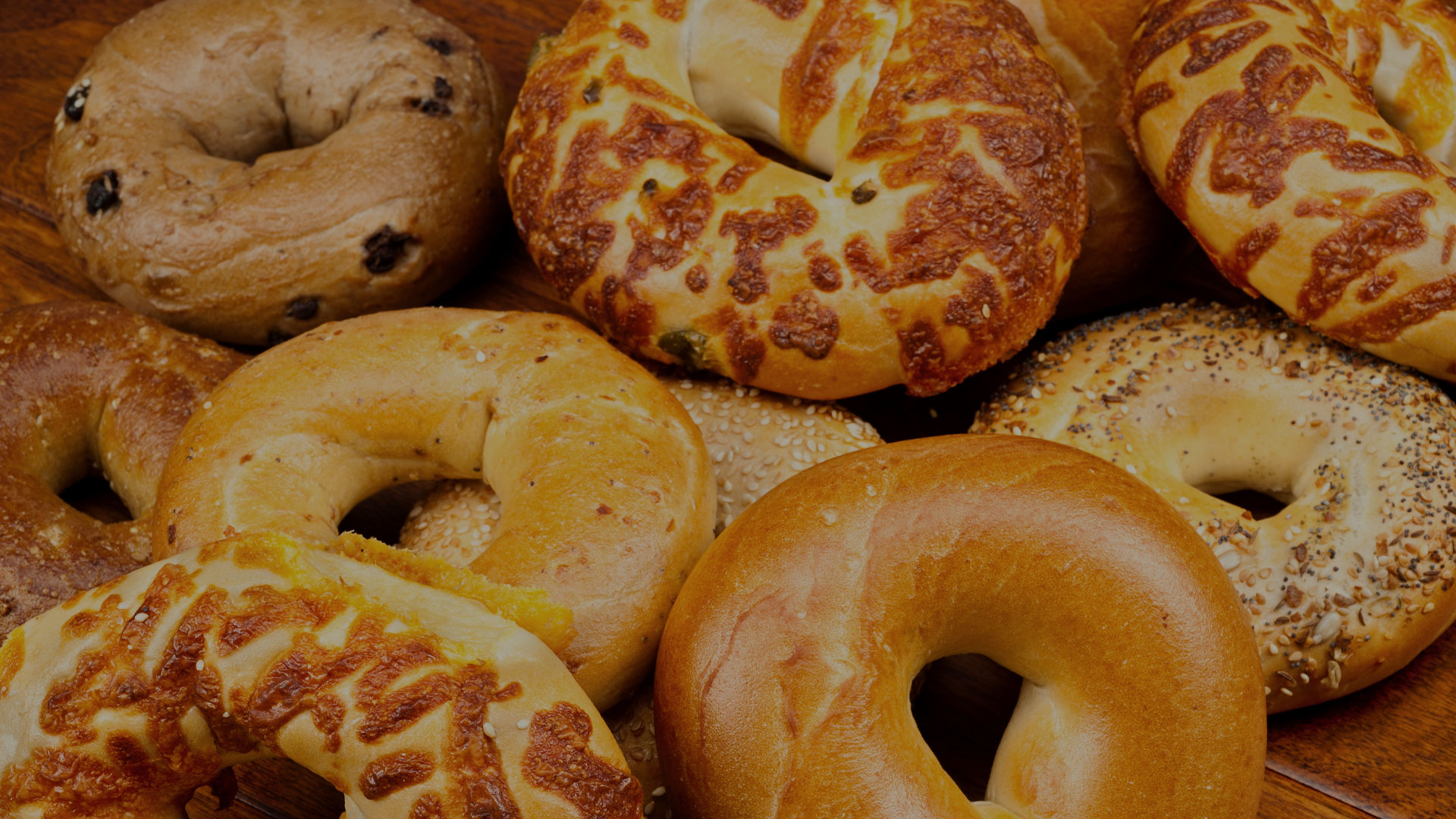 Be-Bop Bagel - bagel