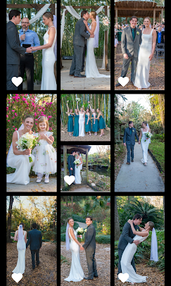 BlueHazelPhoto Image