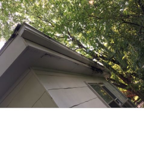 If your soffits are damaged from recent rains it's likely you need to "Clean your Gutters"! A Simple and cheap fix to a common issue that we see often.