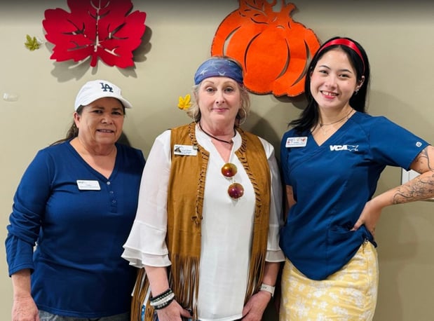 Images VCA Laguna Niguel Animal Hospital
