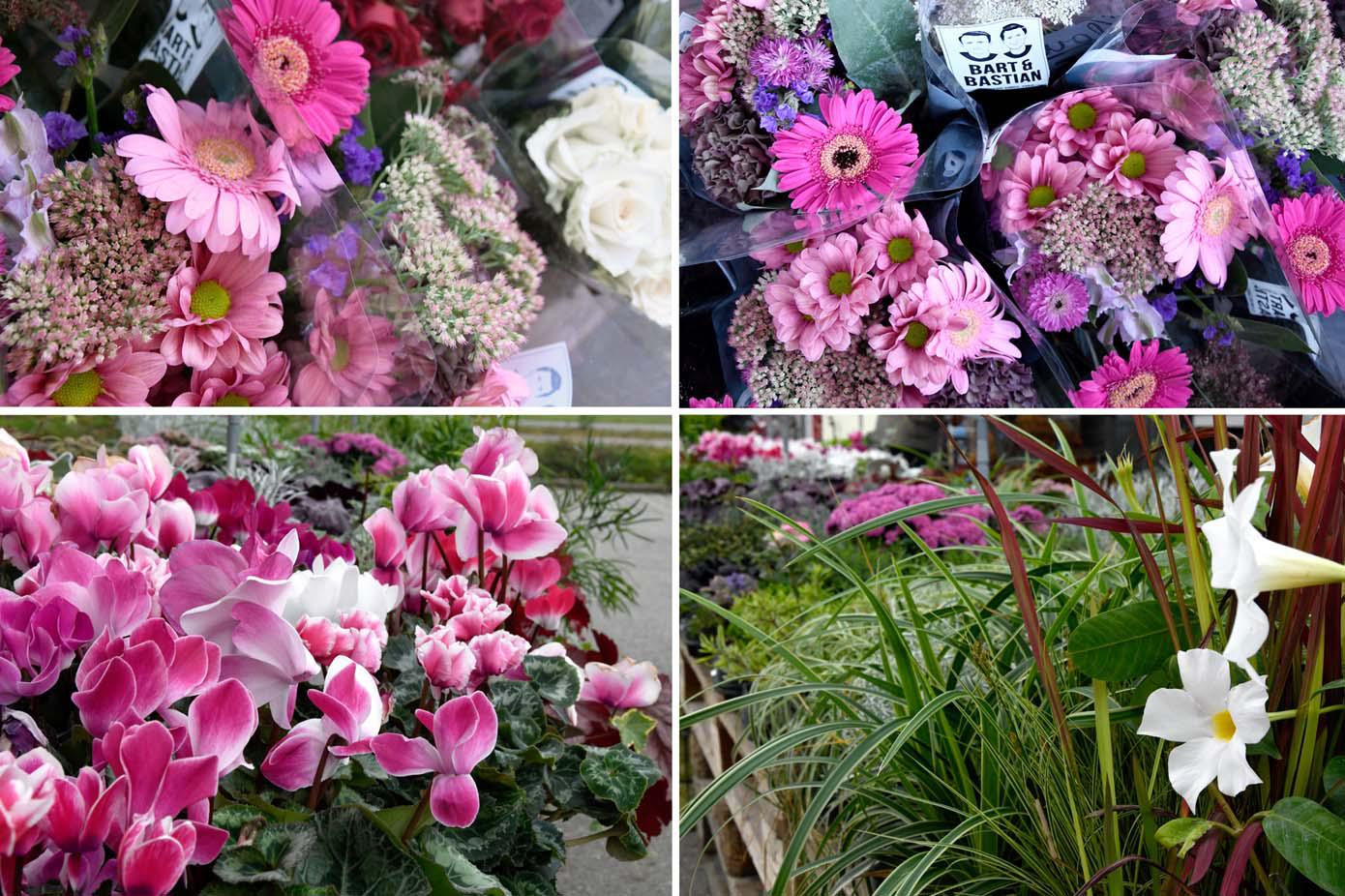 FLORISTIK
Holen Sie sich den Sommer ins Haus! Besuchen Sie unsere Floristik im Vorkassenbereich und lassen Sie sich mitreißen von den Farben und Düften der Blumen und Pflanzen.