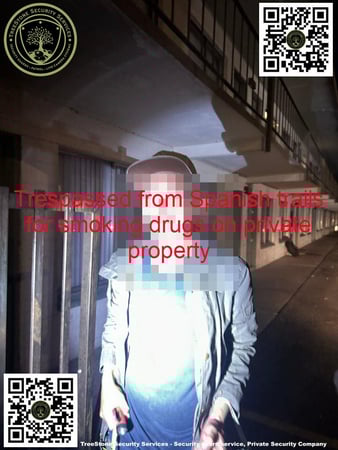 Images TreeStone Security Services