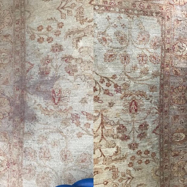Images Raleigh Chem-Dry Carpet and Upholstery Cleaning