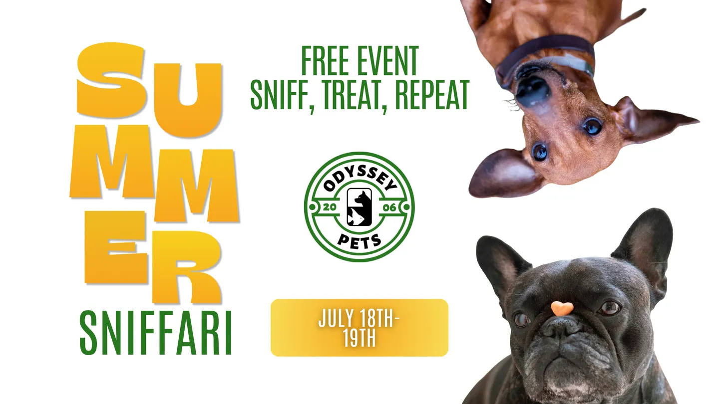 Image of Local Pet Event Summer Sniffari Nearby