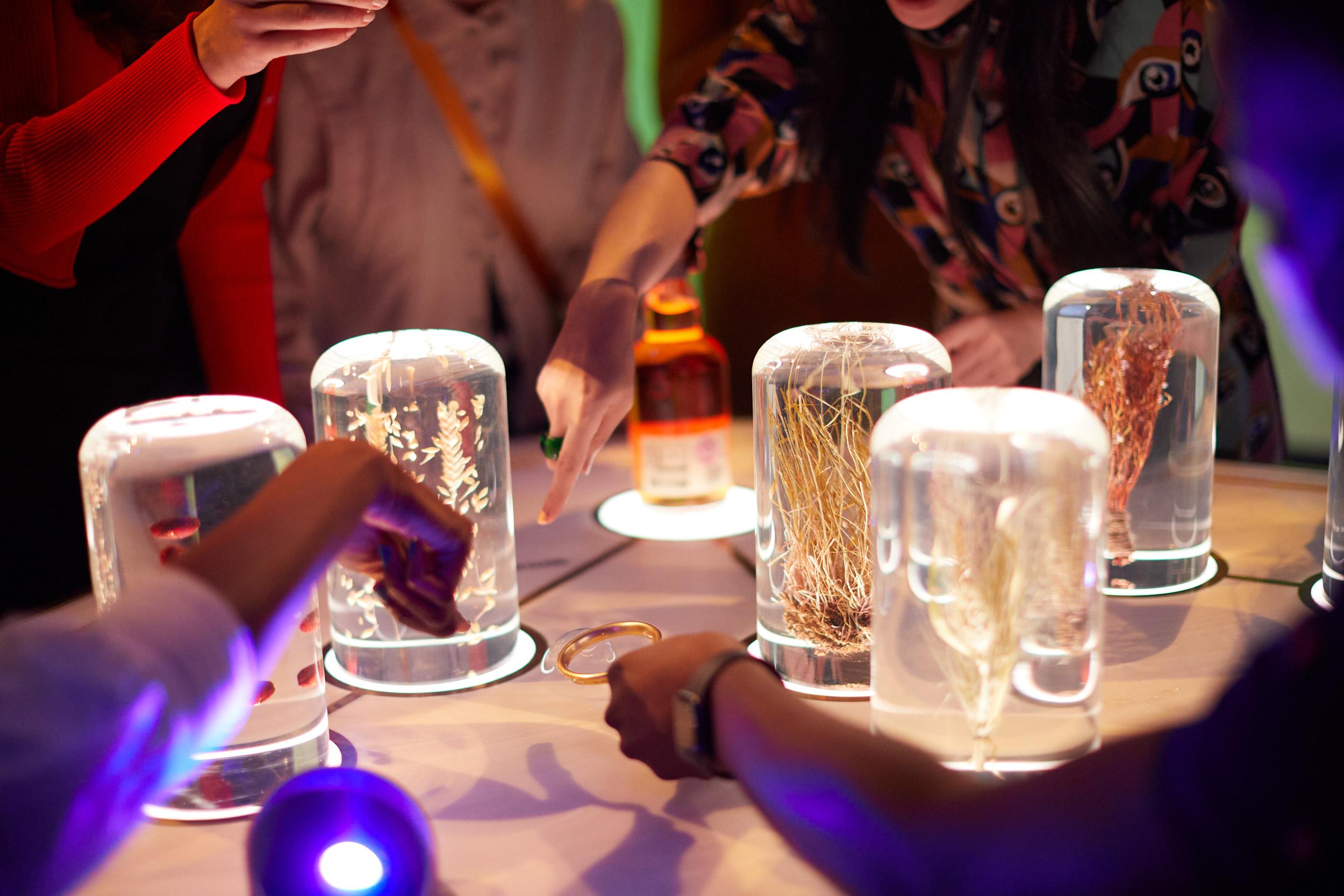 The Johnnie Walker Experience