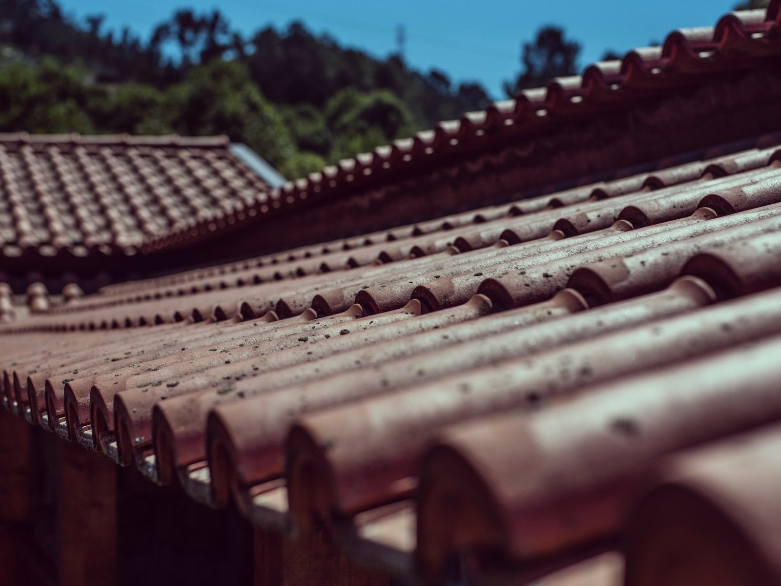 Seacoast Metal Roofing