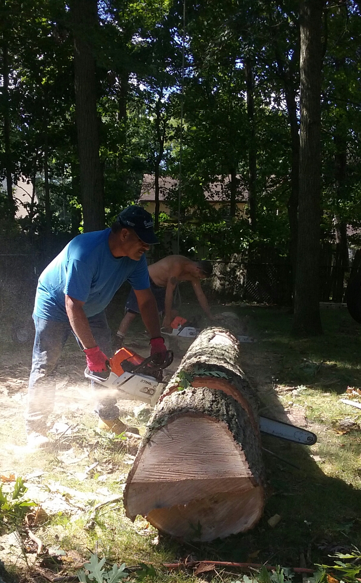 Flores Tree Service & Landscaping