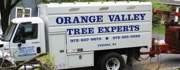 Images Orange Valley Tree Experts