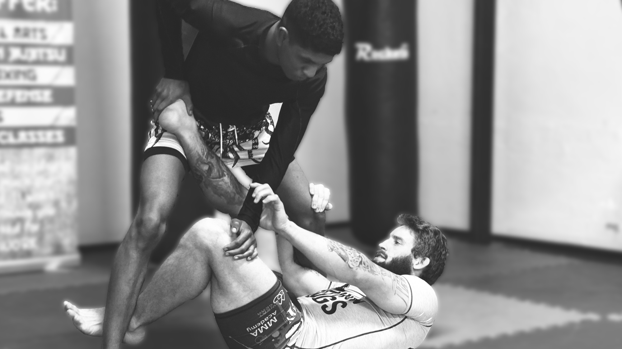 Images Iron fist mma