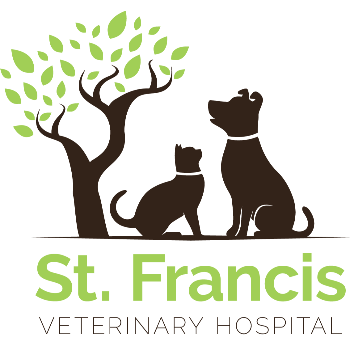 St. Francis Veterinary Hospital