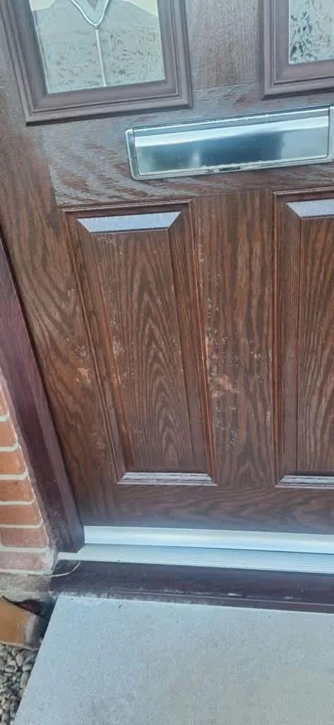 Images True Colours Decorating Ltd