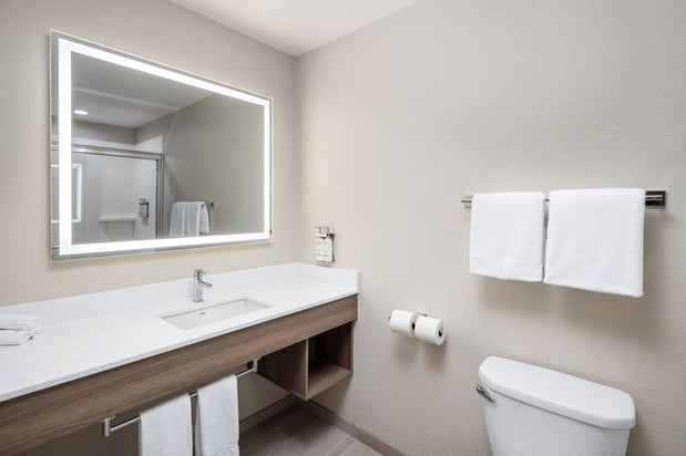 Images Holiday Inn Express & Suites Green Bay East by IHG