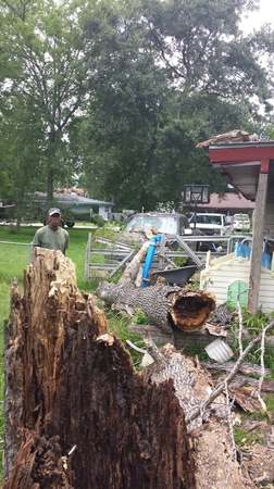 Images TNT Tree Service