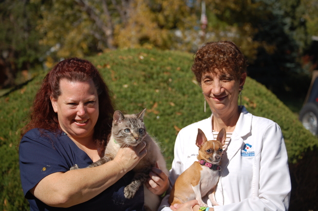 Images Ken Caryl Veterinary Hospital