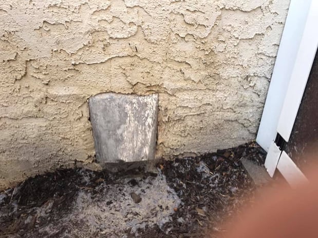 Images Advanced Termite and Pest Control