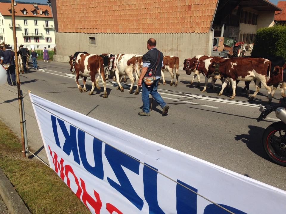 Garage Andrey Sàrl, Route des Colombettes 2 in Vuadens