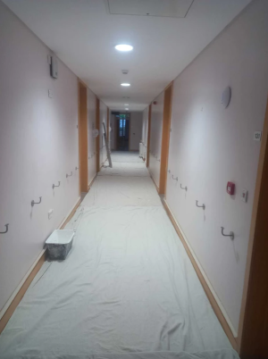 ES PAINTING CONTRACTORS 3