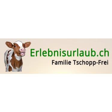 Erlebnisurlaub.ch Logo