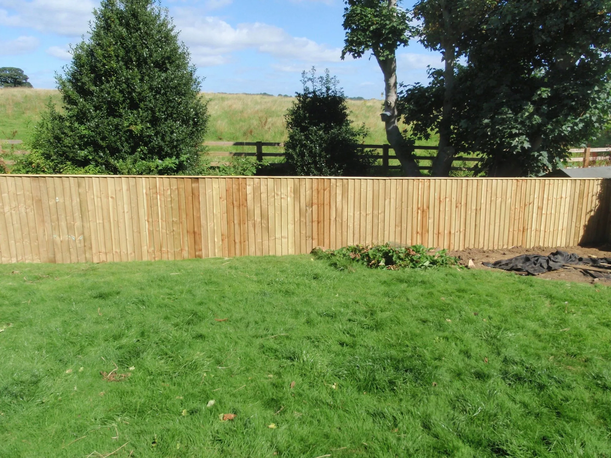 Images D & E Landscapes