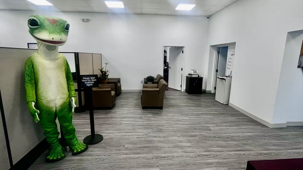 Images The Kolgaklis Agency