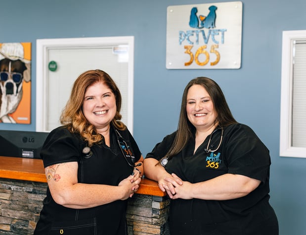 Images PetVet365 Pet Hospital Louisville / Jeffersontown