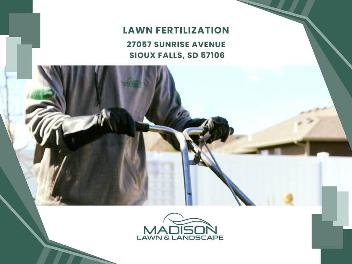 lawn fertilization