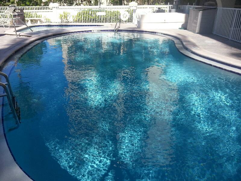Freeform residential swimming pool with deep blue water, curved edges, and shaded outdoor surroundings.