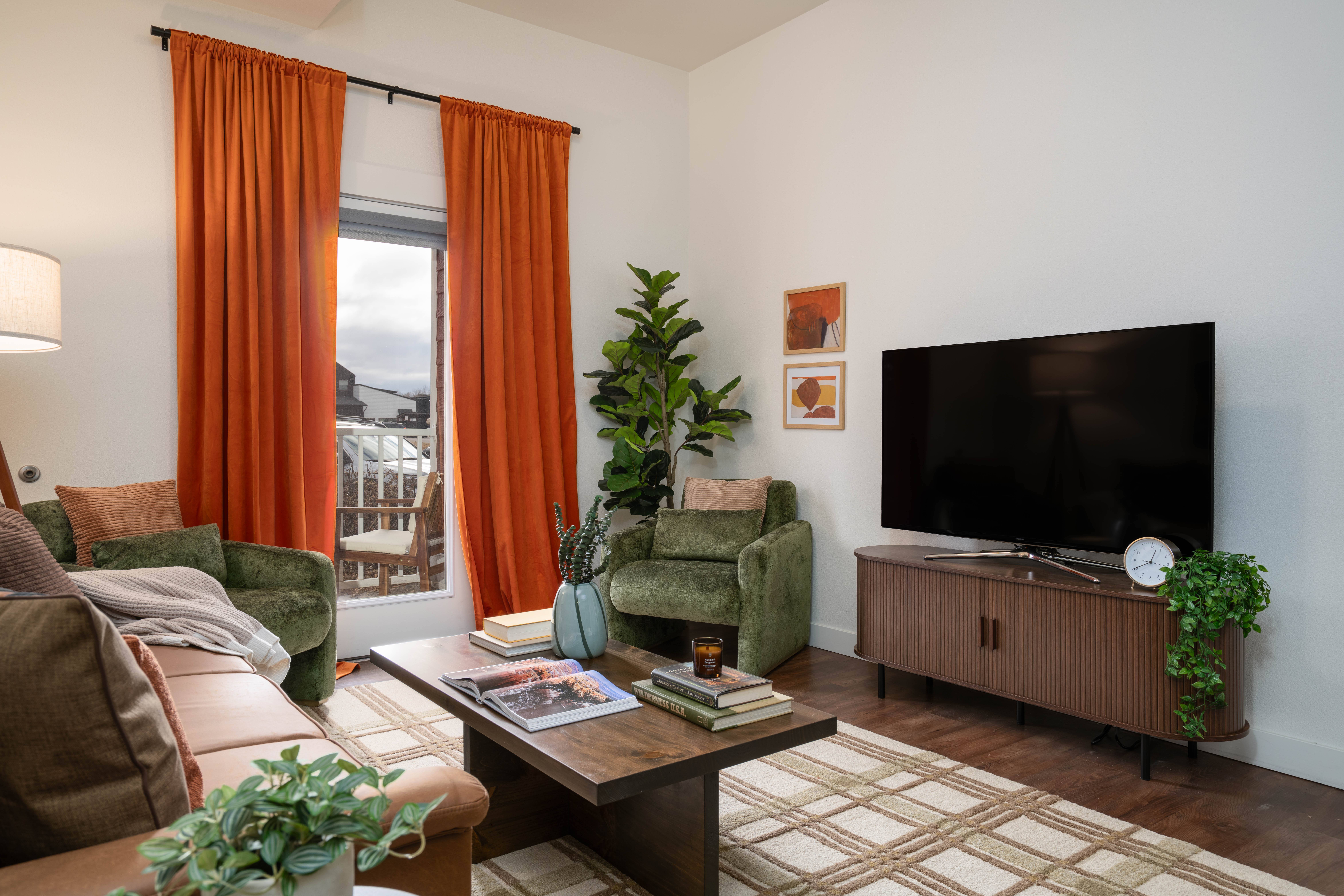 Living Room with TV