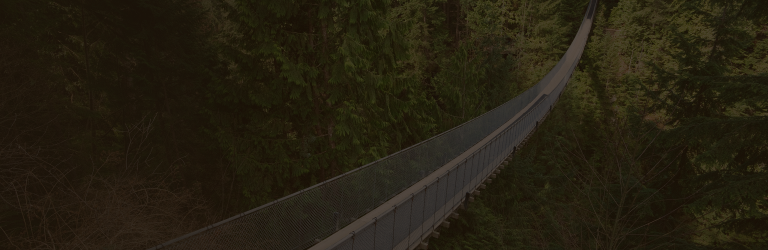 A long suspension bridge in the middle of a forest.