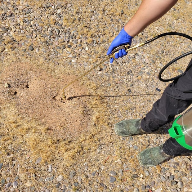 Images Southwest Weed & Pest Solutions LLC