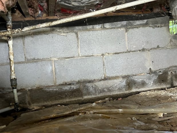 Images Ox Foundation Solutions