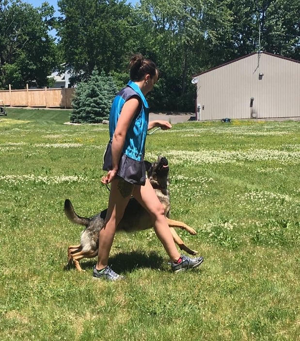 Images Adirondack K9